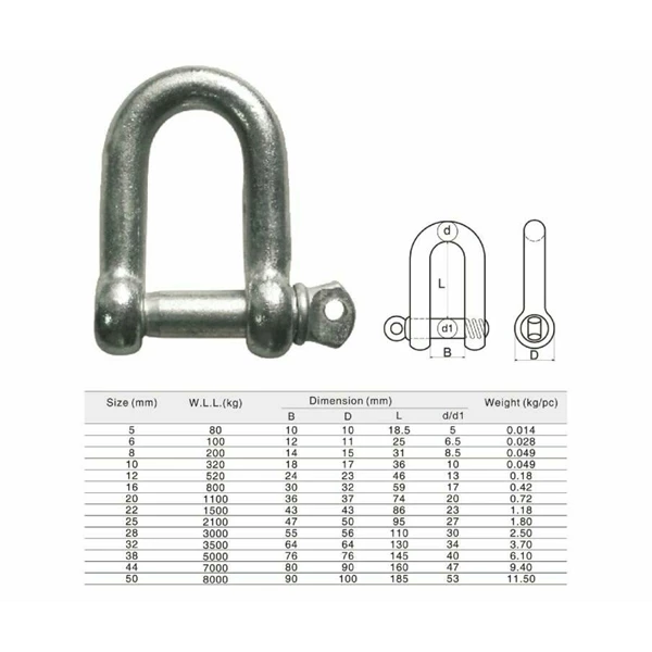 shackle Dee Stainless