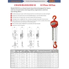 Chain Block HSZ-B 0.5 Ton-30Ton 1